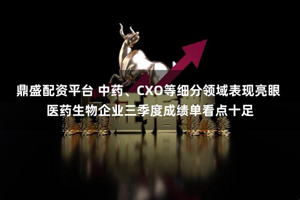鼎盛配资平台 中药、CXO等细分领域表现亮眼 医药生物企业三季度成绩单看点十足